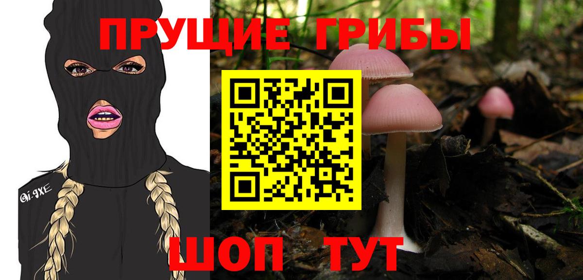 Йошкар-Ола  Псилоцибиновые грибы мицелий  Псилоцибиновые грибы Magic Shrooms  Вход с VPN 