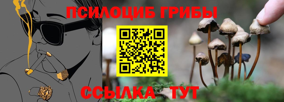 Галлюциногенные грибы мухоморы Йошкар-Ола